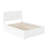 Maud Solid Wood Platform Bed with Footboard & Full Trundle-848237113
