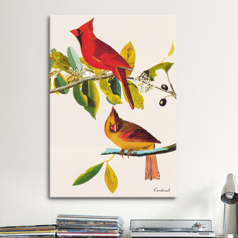 "cardinal" par john james audubon, impression sur toile, H 40 po x l 60 po x P 1,5 po