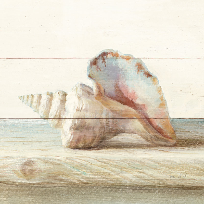 Driftwood Shell IV by Danhui Nai - Wrapped Canvas Painting, 76cm H x 76cm W x 3.8cm D