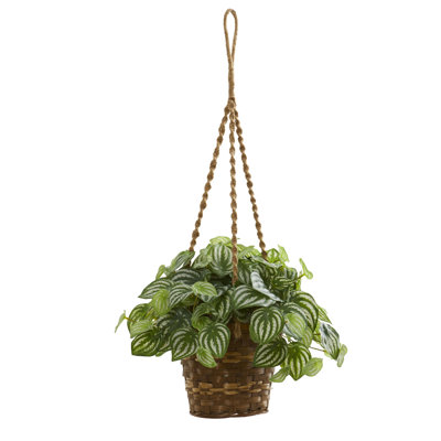 13'' Faux Foliage Plant in Wood Basket