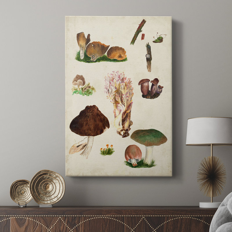 Mushroom Species IX - Gallery Cavas, H 18 po x l 12 po