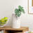  Adelya 9.75" Textured Ceramic Table Vase-399118047