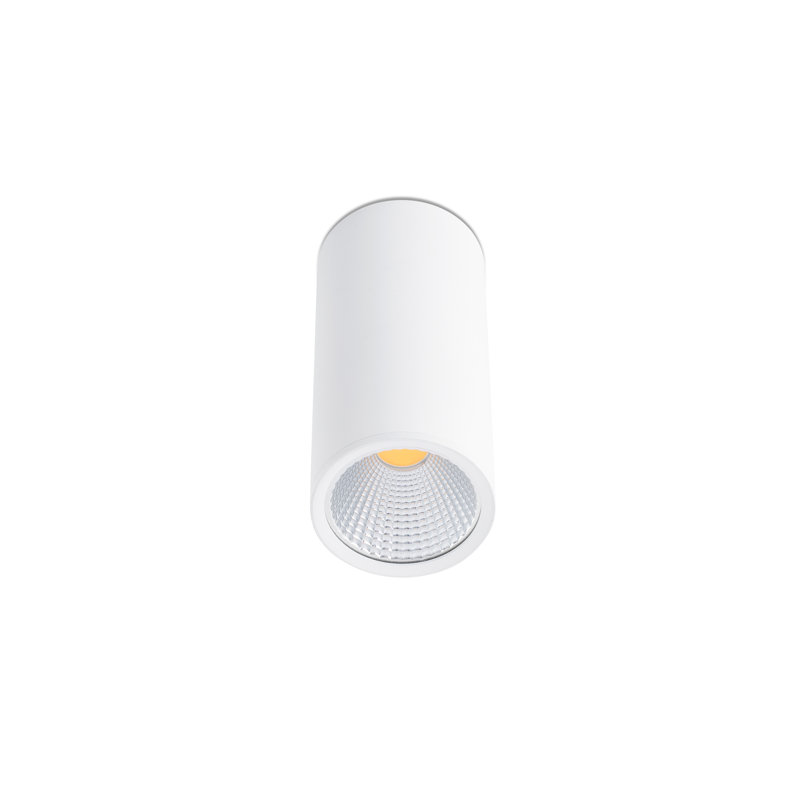 LED Spotlight, White