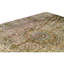 Silk Oriental Area Rug