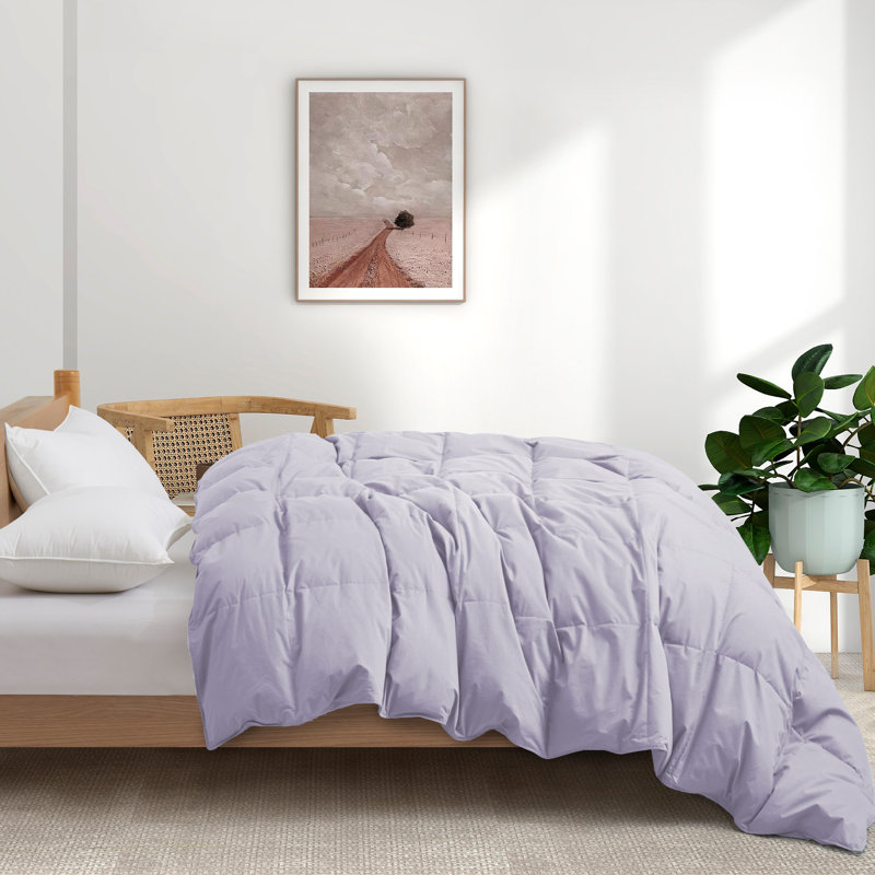 All Season Cotton Down Comforter/Duvet Insert, Queen Comforter, Purple