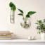 6 Pcs Glass Wall Vase Indoor Propagation Planters Hanging Suction Cup With Plastic Invisible Traceless Hanger Wall Mount Decor For Hydroponic Plant Flower Succulent Spring Summer Wedding Decor