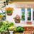 Aeriss Metal Wall Planter