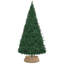Seagrass Tree Collar