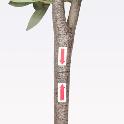 Olive artificielle avec pot