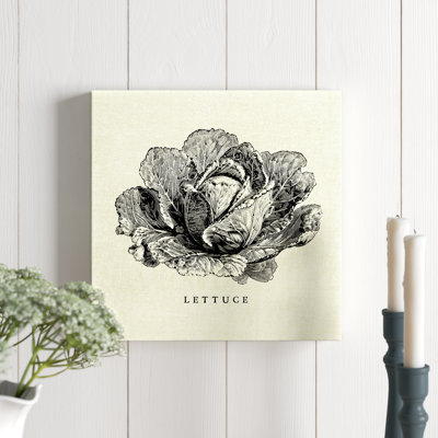 " Linen Vegetable BW Sketch Lettuce " by Studio Mousseau