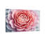 Plantes et fleurs, motif floral rose-2006128018-2006128028-2006128031