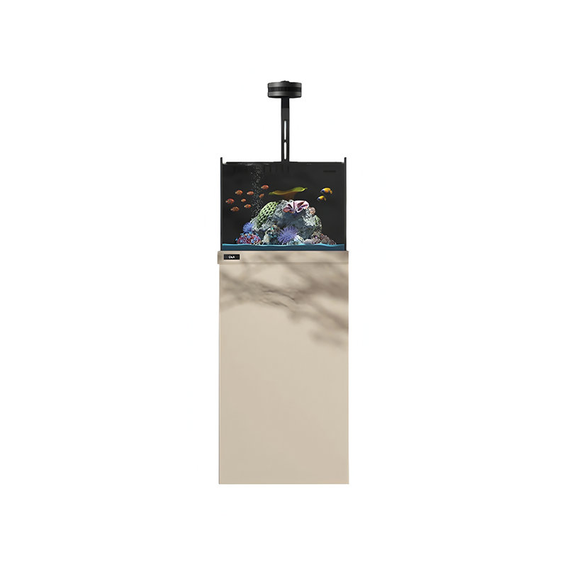 Petit aquarium 19,69 po, 23,78 gallons (H 47,24 po x l 19,69 po x P 19,69 p