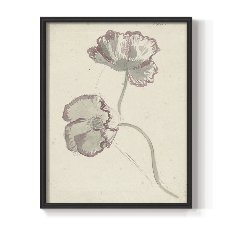 Impression florale vintage encadrée CXCIV - bois massif, H 30 po x l 24 po, Noir, noir, noir, noir