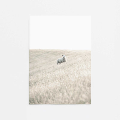 Serene Sheep Pasture