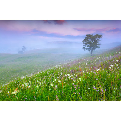 Lonely Tree In The Fogge Mountains by Andrew_Mayovskyy - Wrapped Canvas Print