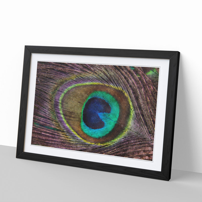 Peacock Feather - Framed Print, Black Framed, 27cm H x 36cm W x 2cm D