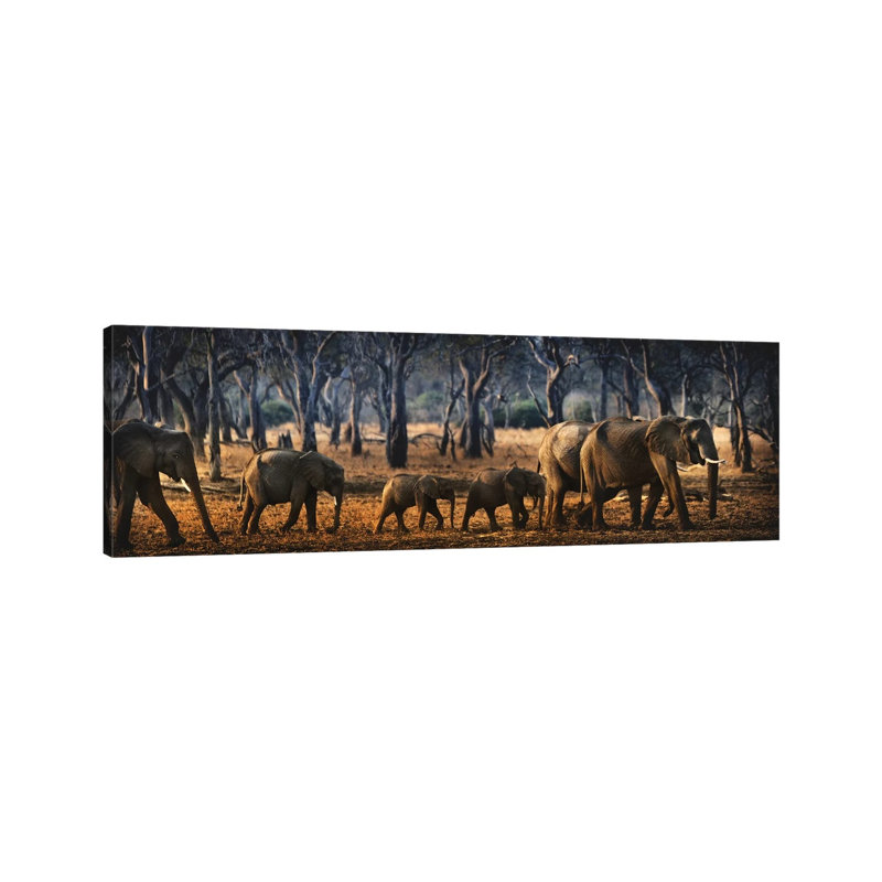 Untitled - Wrapped Canvas Panoramic Print, 30.48 cm H x 91.44 cm W x 3.175 cm D