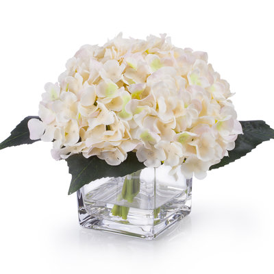 Agencements de fleurs hortensia et maîtresses en vase