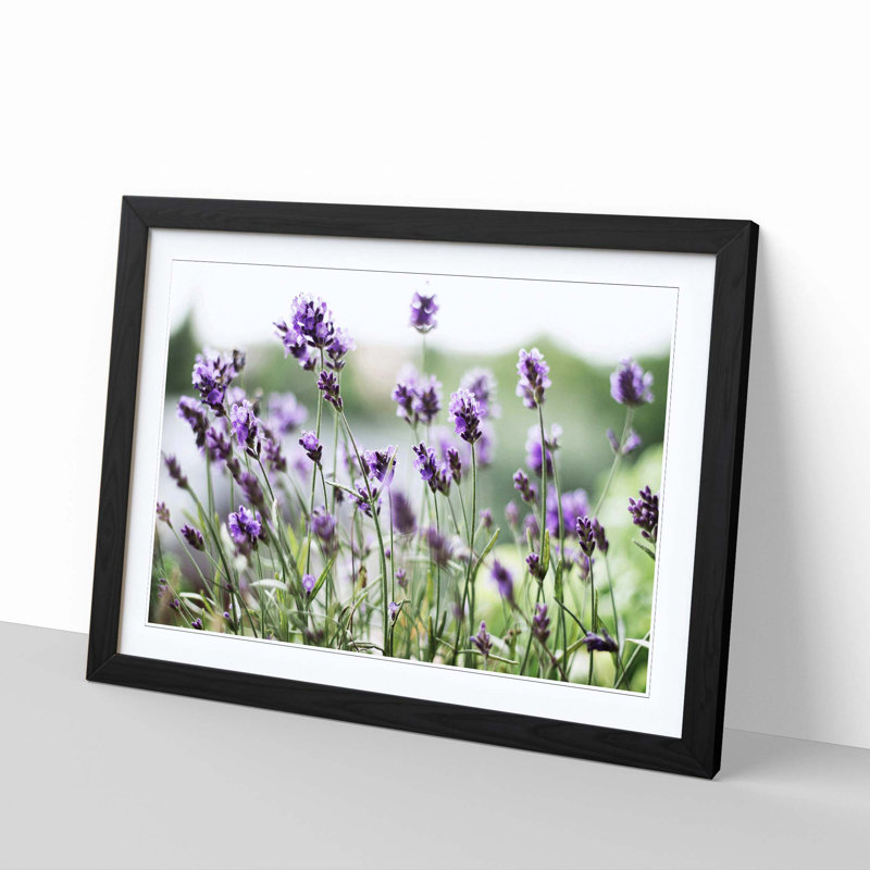 Single Picture Frame Print, Black