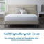 Wayfair Sleep Foam Mattress-2061780614