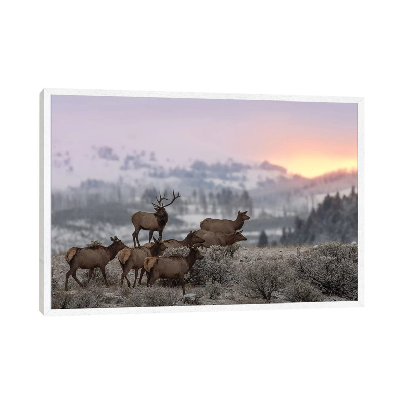 First Light by Nick Kalathas - Print on Canvas, 45.72cm H x 66.04cm W x 3.81cm D, White Floater Framed