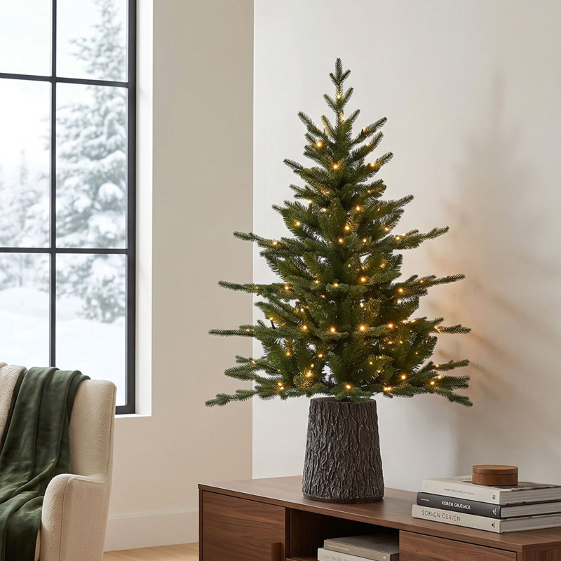 Sapin de Noël illuminé 4 pi Jasper Elite Fraser