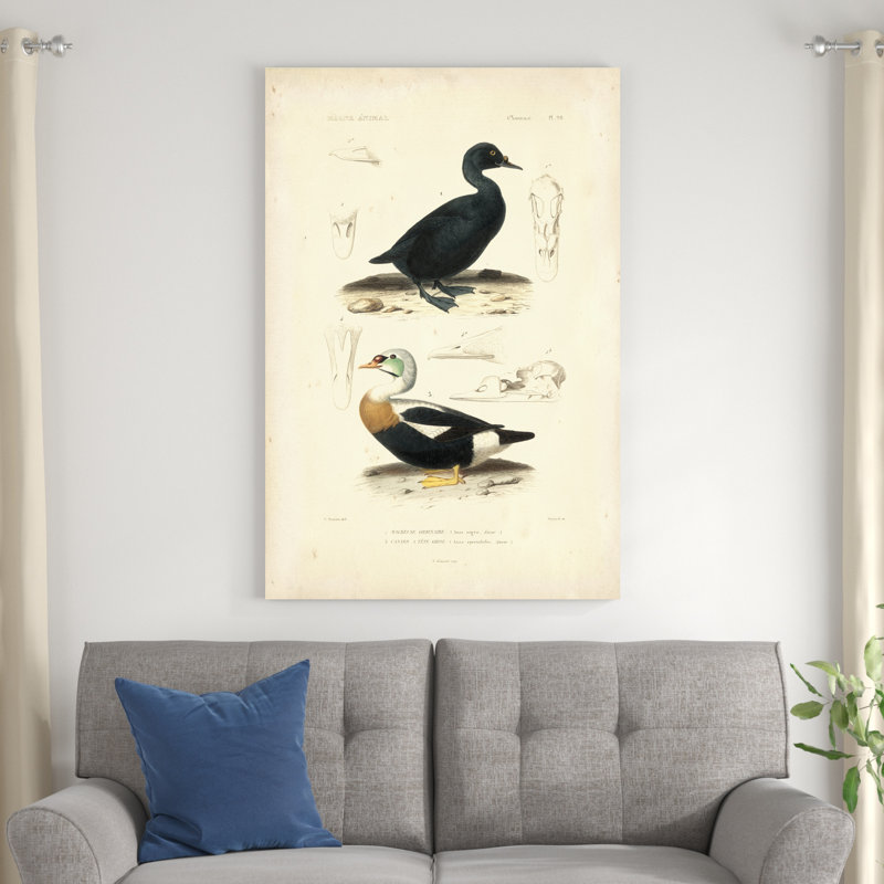 Étude de canard antique I, H 48 po x l 32 po x P 1,25 po