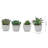 4'' Faux Succulent in Ceramic Pot