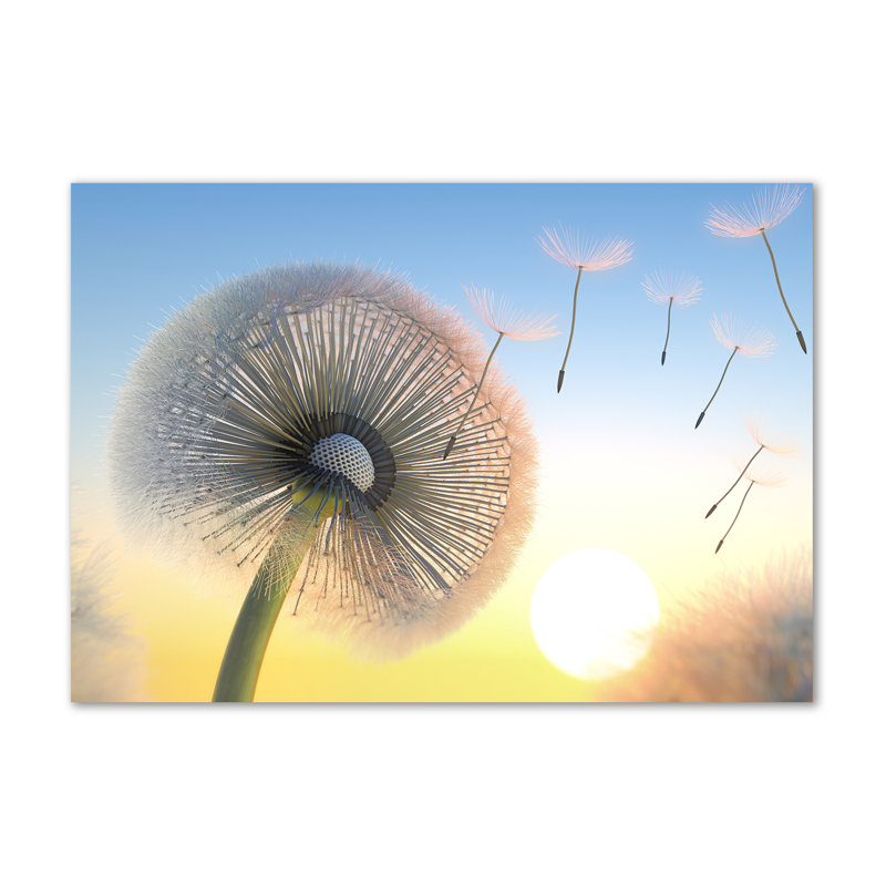 Dandelion - Wrapped Canvas Print