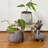 Ceramic Planter Ceramic Table Vase-93564556