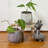 Ceramic Planter Table Vase 1-93564556