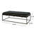Black Upholstered Bench With Velvet And Brass Finish - Modern Minimalist, Channel , 25 In Width, 16 Height Soft Touch, 49 Depth,