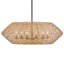 Hinkley Luca Large Single Tier Chandelier-649961652