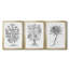 Toile encadrée de qualité supérieure B&W Plant Spechantillon I - prête à être accrochée-69981800-69981801