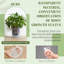 Ensemble de 12 pots à fleurs en plastique avec 3 tailles, réservoir à eau et réservoir d'eau transparent