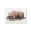 «Long Winter's Nap» par Kamdon Kreations, reproduction d'art-1130884714-1275496227-1275496238