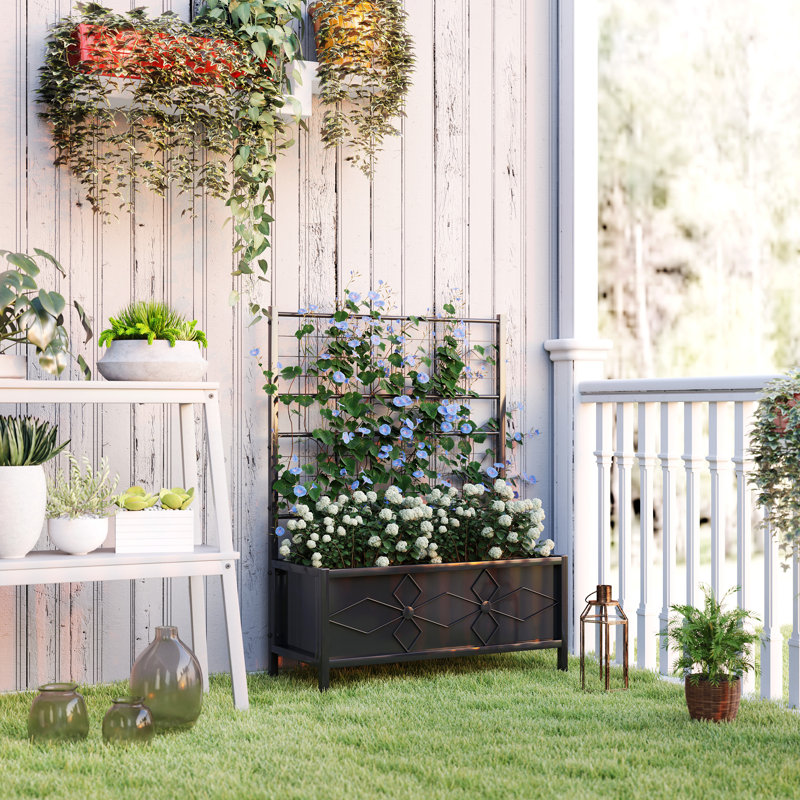 Raised Garden Bed with Trellis