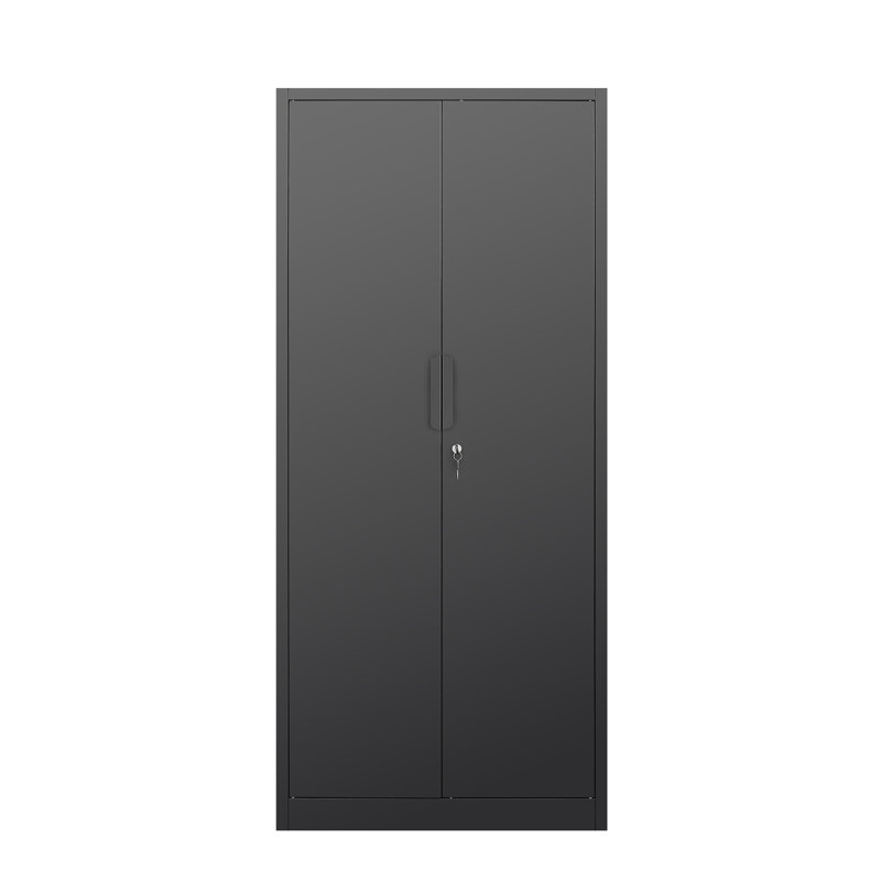 2-Door File Cabinet with Lock, 4 Adjustable Shelves, Heavy-Duty Steel Construction, for Commercial Office, Home Office, Legal Size & Letter File Storage