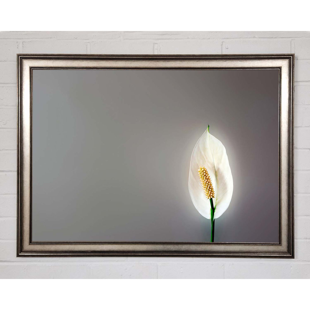 White Lily Heaven - Einzelner Bilderrahmen Kunstdrucke