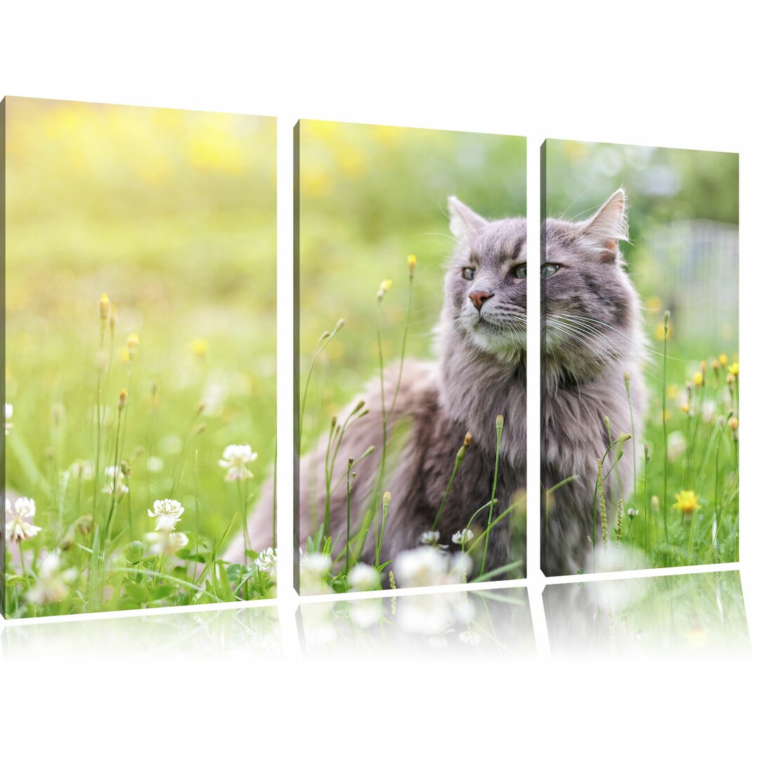 3-tlg. Leinwandbilder-Set Katze in der Wildnis, Fotodruck