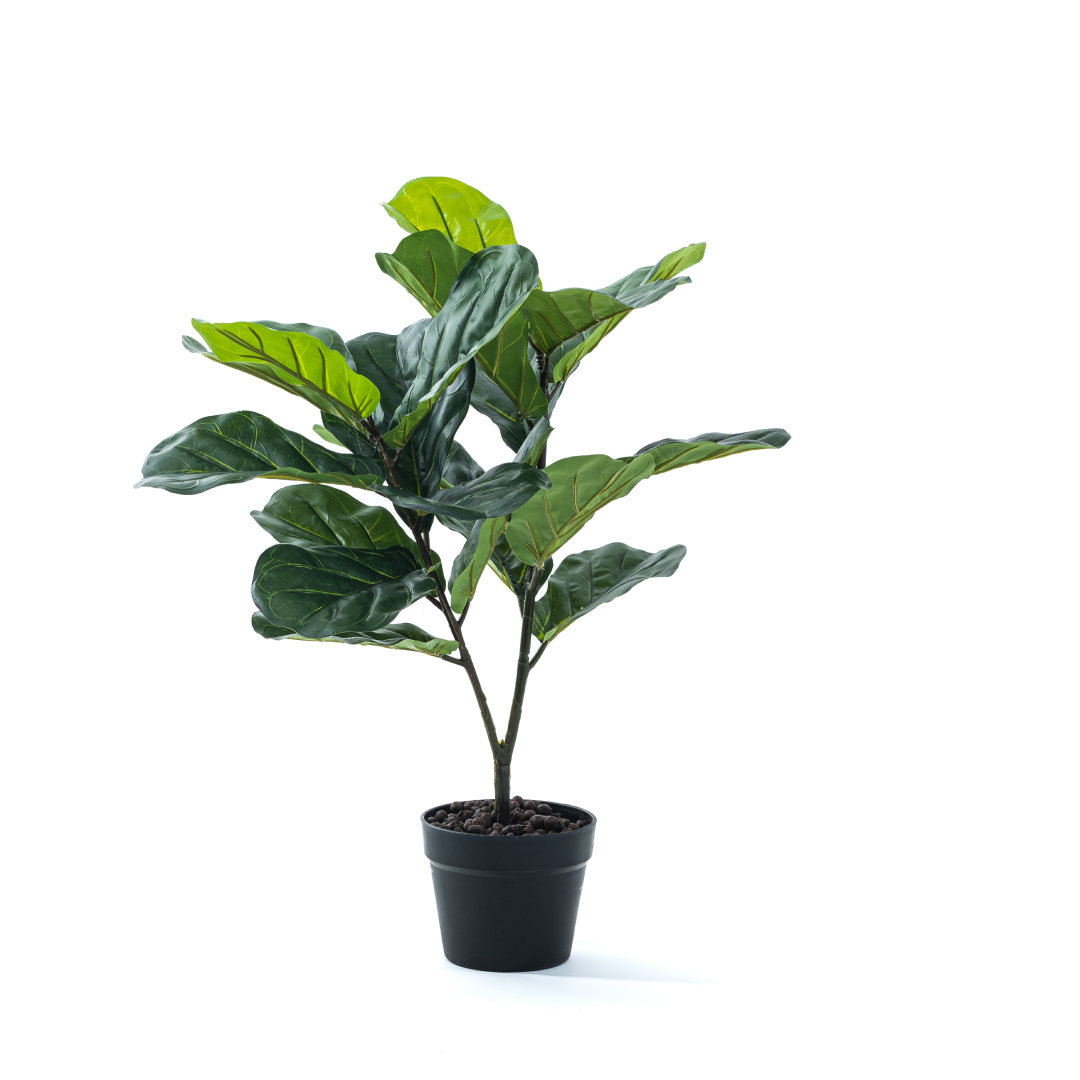 BIRCHCITY 30" Artificial Fiddle Leaf Fig Tree Faux Potted Fiddle Leaf