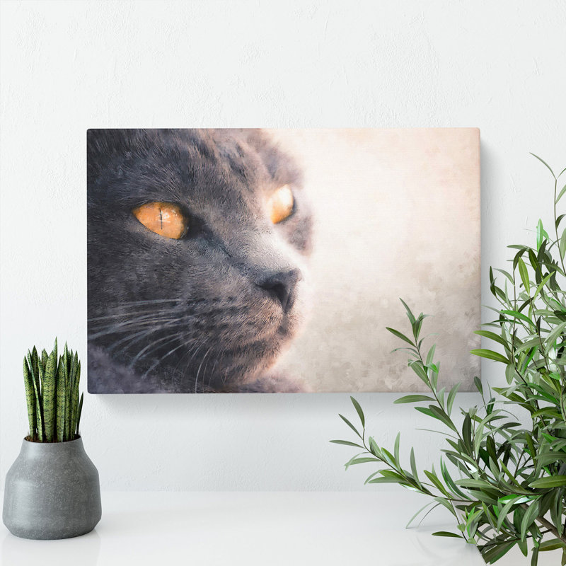 British Shorthair Cat Vol.2 - Wrapped Canvas, 35cm H x 50cm W x 3cm D
