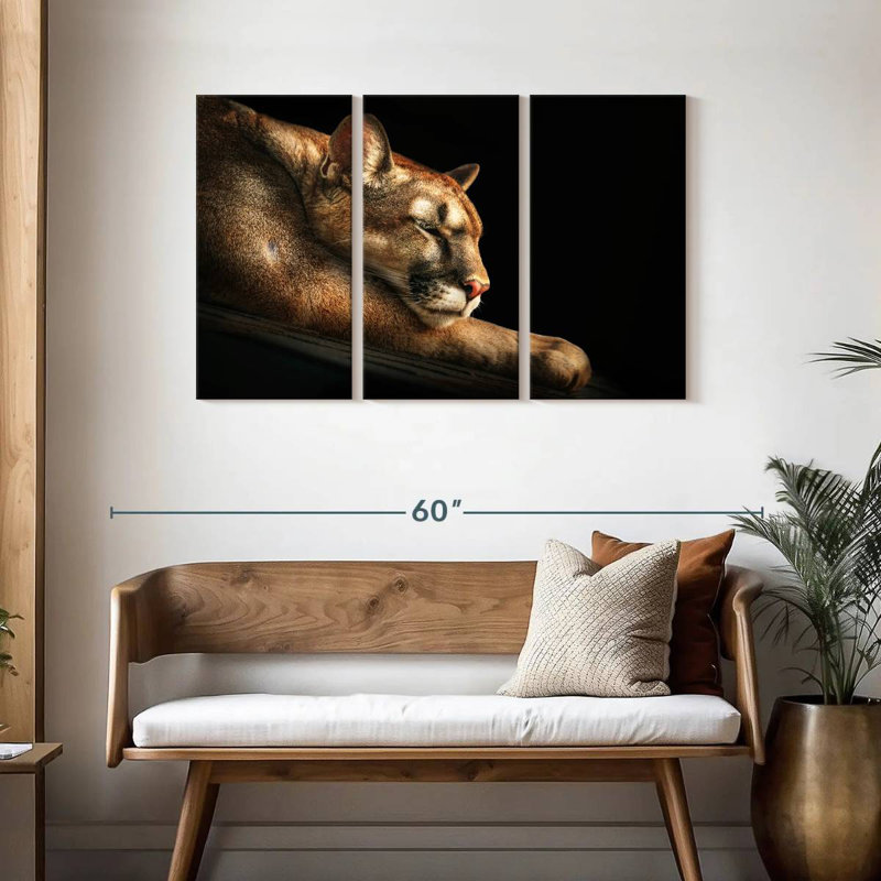 Cougar Brampt endormi, H 28 po x l 45 po