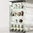 Jillion 4-Shelf Glass Display Cabinet, Curio Cabinet, Side By Side Door-1614608466