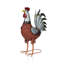 Statue de coq d'extérieur en fer 20 po, décor animal