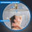 Rain Fixed Shower Head 2.5 GPM GPM with Self-Cleaning-90694484