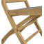 Folding Patio Dining Side Chair with Cushion