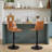Halima Swivel Adjustable Height Counter Stool with Metal Frame-795950624-754172025
