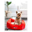 Tapis pour lit de qualité supérieure Rugs.com-100613956-110734652