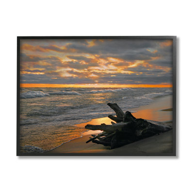 Bb-438, «Driftwood at Sunset» par Steve Toole, reproduction encadrée sur toile